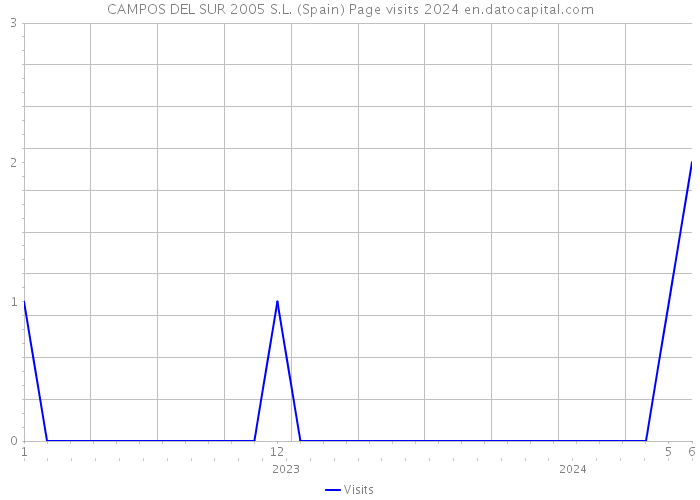 CAMPOS DEL SUR 2005 S.L. (Spain) Page visits 2024 