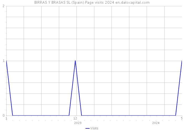 BIRRAS Y BRASAS SL (Spain) Page visits 2024 