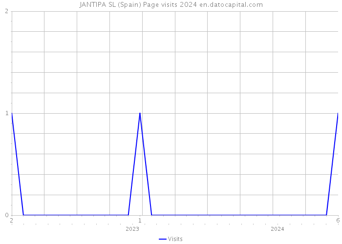 JANTIPA SL (Spain) Page visits 2024 