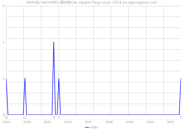 RAFAEL NAVARRO BERBEGAL (Spain) Page visits 2024 