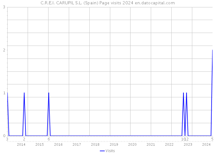 C.R.E.I. CARUPIL S.L. (Spain) Page visits 2024 