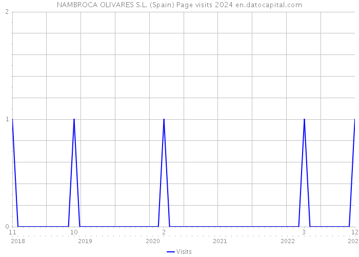 NAMBROCA OLIVARES S.L. (Spain) Page visits 2024 