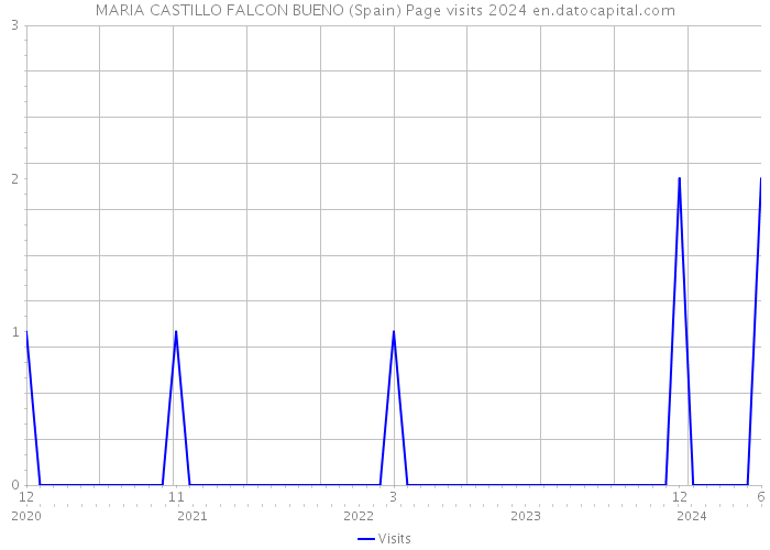MARIA CASTILLO FALCON BUENO (Spain) Page visits 2024 