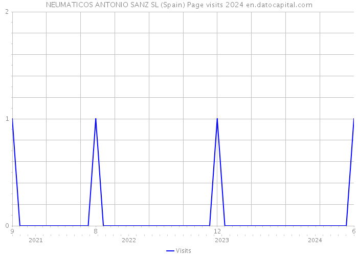 NEUMATICOS ANTONIO SANZ SL (Spain) Page visits 2024 