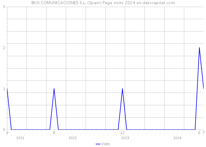 BKN COMUNICACIONES S.L. (Spain) Page visits 2024 
