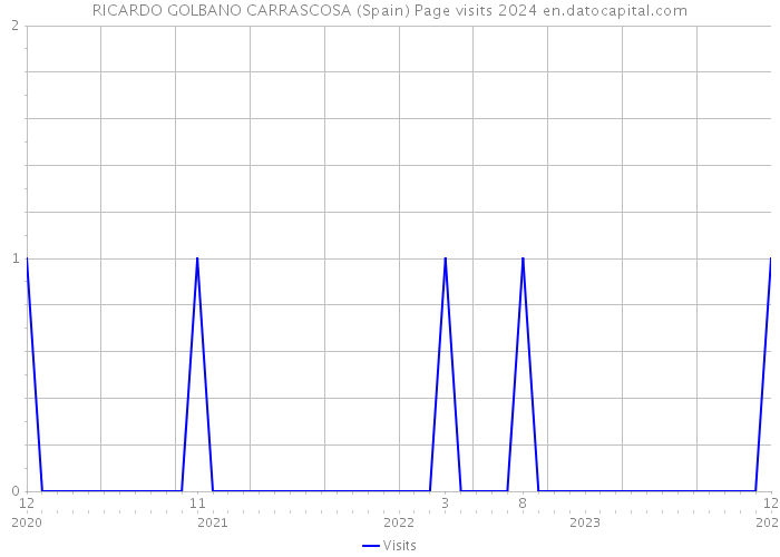 RICARDO GOLBANO CARRASCOSA (Spain) Page visits 2024 