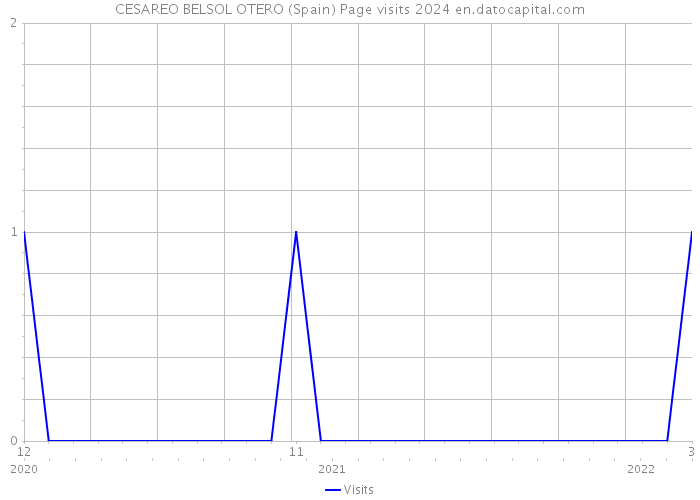 CESAREO BELSOL OTERO (Spain) Page visits 2024 