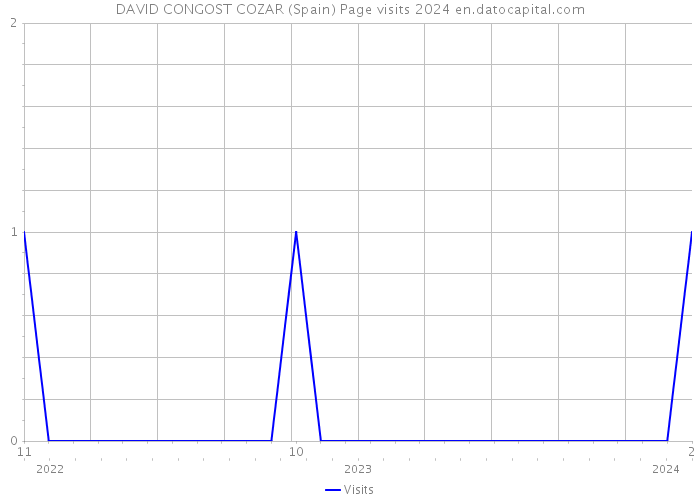 DAVID CONGOST COZAR (Spain) Page visits 2024 
