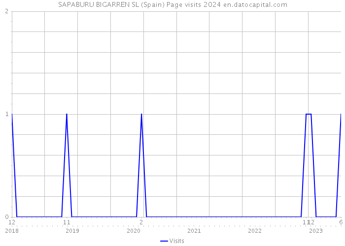 SAPABURU BIGARREN SL (Spain) Page visits 2024 