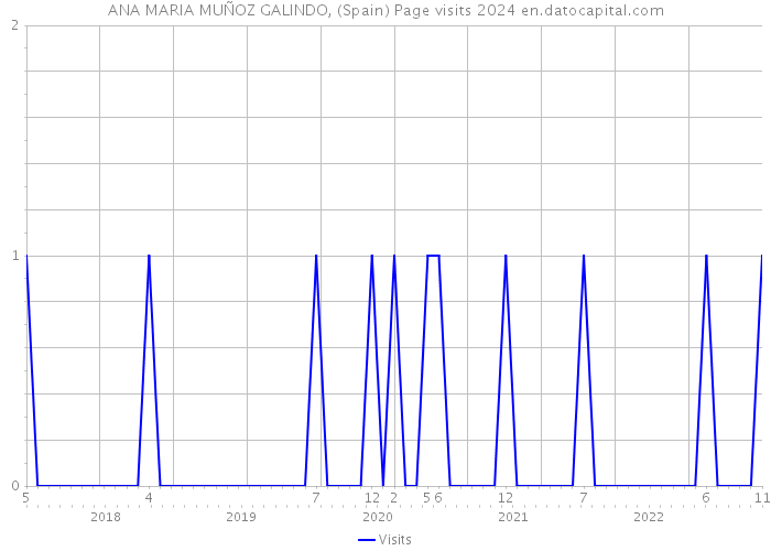 ANA MARIA MUÑOZ GALINDO, (Spain) Page visits 2024 