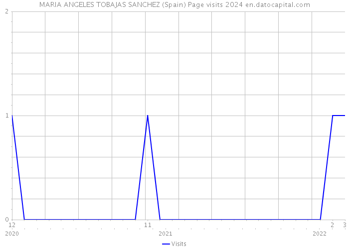 MARIA ANGELES TOBAJAS SANCHEZ (Spain) Page visits 2024 