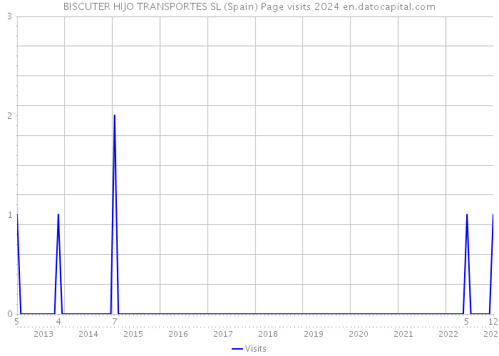 BISCUTER HIJO TRANSPORTES SL (Spain) Page visits 2024 