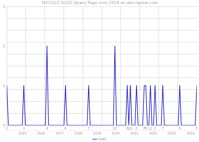 NICCOLO SOZZI (Spain) Page visits 2024 