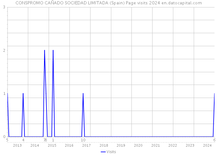 CONSPROMO CAÑADO SOCIEDAD LIMITADA (Spain) Page visits 2024 