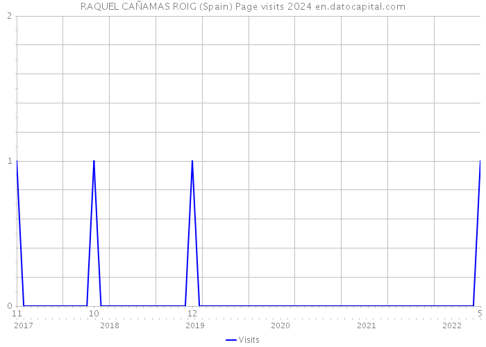 RAQUEL CAÑAMAS ROIG (Spain) Page visits 2024 