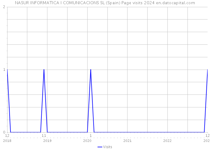 NASUR INFORMATICA I COMUNICACIONS SL (Spain) Page visits 2024 