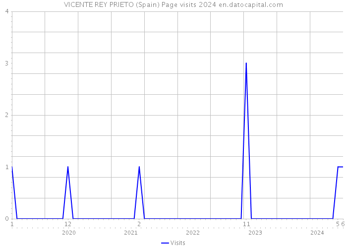 VICENTE REY PRIETO (Spain) Page visits 2024 