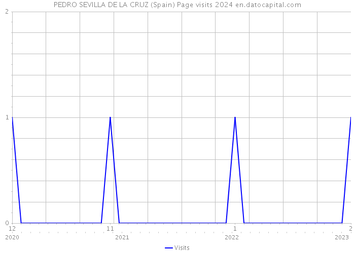PEDRO SEVILLA DE LA CRUZ (Spain) Page visits 2024 