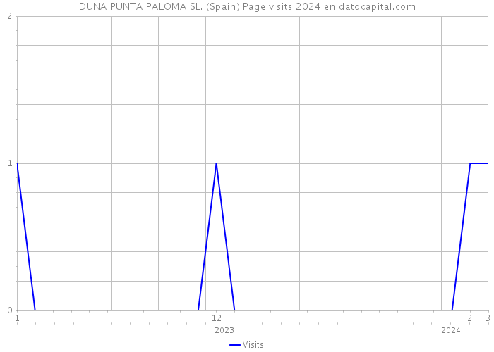 DUNA PUNTA PALOMA SL. (Spain) Page visits 2024 