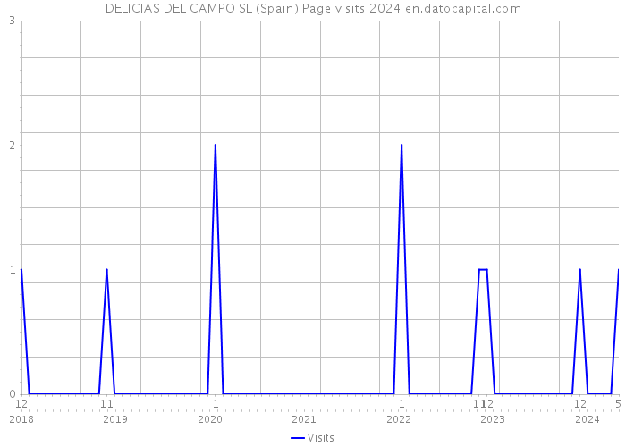 DELICIAS DEL CAMPO SL (Spain) Page visits 2024 