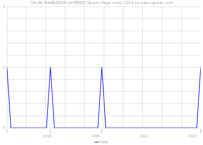 SALIM SHABUDINE LAVERDE (Spain) Page visits 2024 