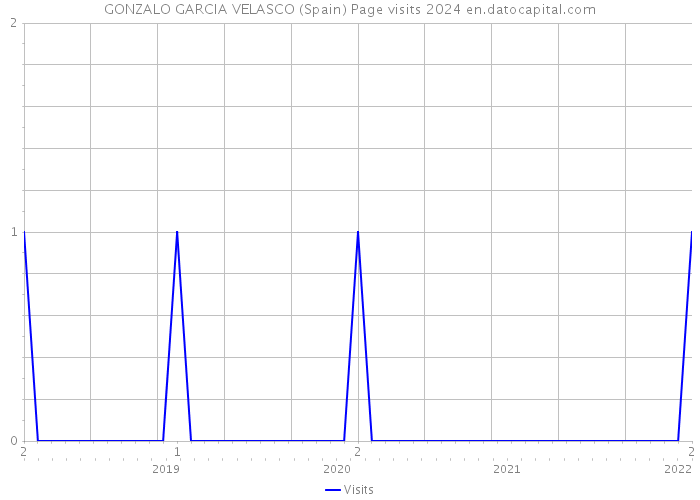 GONZALO GARCIA VELASCO (Spain) Page visits 2024 