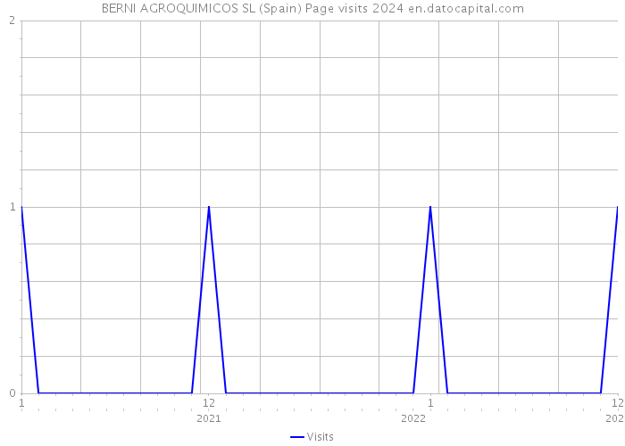 BERNI AGROQUIMICOS SL (Spain) Page visits 2024 