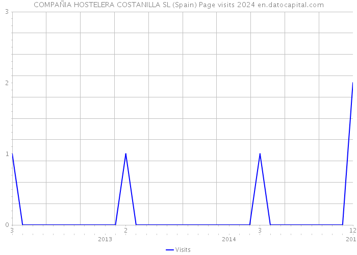 COMPAÑIA HOSTELERA COSTANILLA SL (Spain) Page visits 2024 