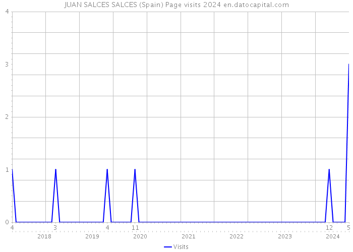 JUAN SALCES SALCES (Spain) Page visits 2024 