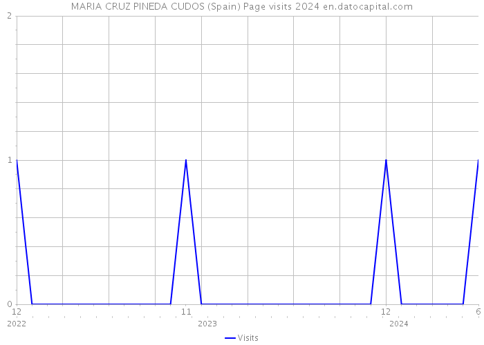 MARIA CRUZ PINEDA CUDOS (Spain) Page visits 2024 