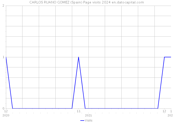 CARLOS RUANO GOMEZ (Spain) Page visits 2024 