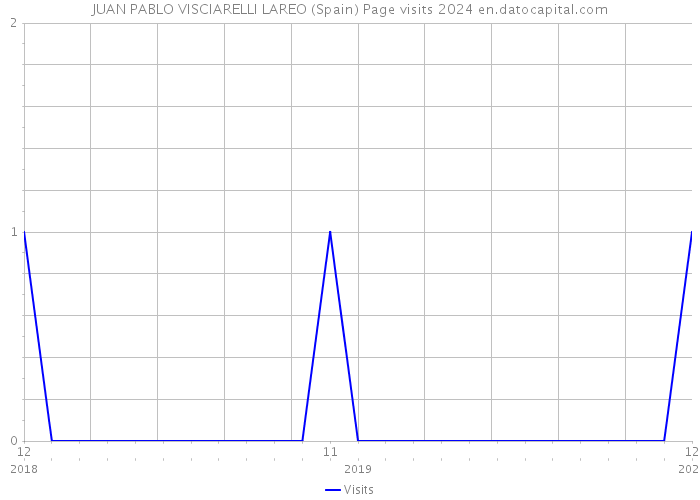 JUAN PABLO VISCIARELLI LAREO (Spain) Page visits 2024 