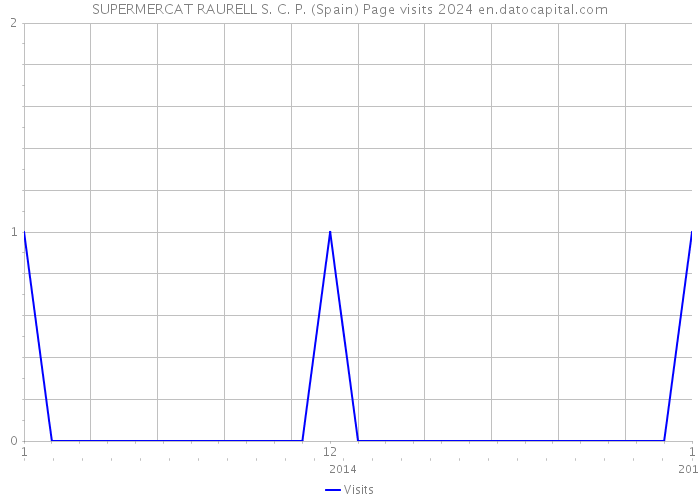 SUPERMERCAT RAURELL S. C. P. (Spain) Page visits 2024 