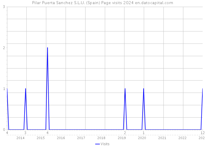 Pilar Puerta Sanchez S.L.U. (Spain) Page visits 2024 