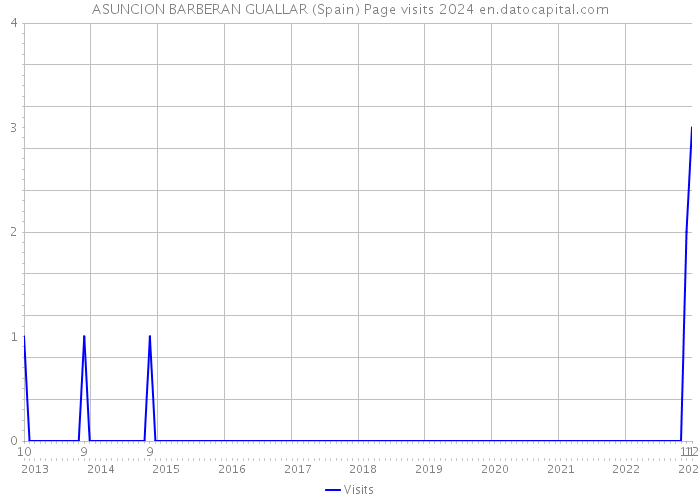 ASUNCION BARBERAN GUALLAR (Spain) Page visits 2024 