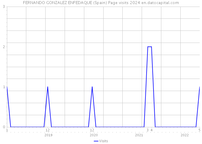FERNANDO GONZALEZ ENFEDAQUE (Spain) Page visits 2024 
