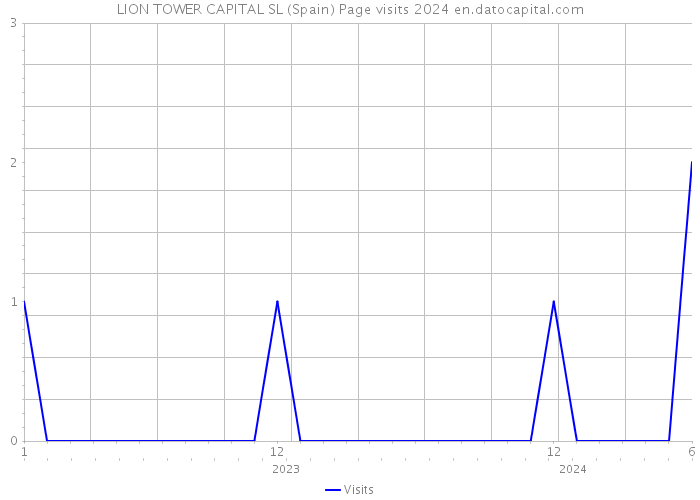 LION TOWER CAPITAL SL (Spain) Page visits 2024 