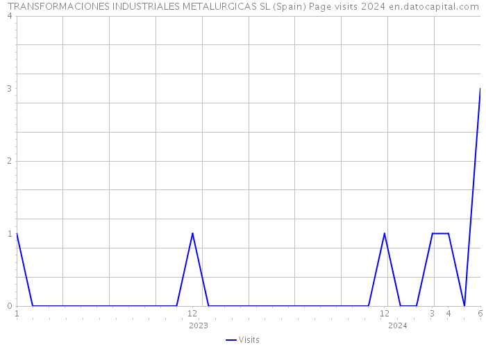 TRANSFORMACIONES INDUSTRIALES METALURGICAS SL (Spain) Page visits 2024 