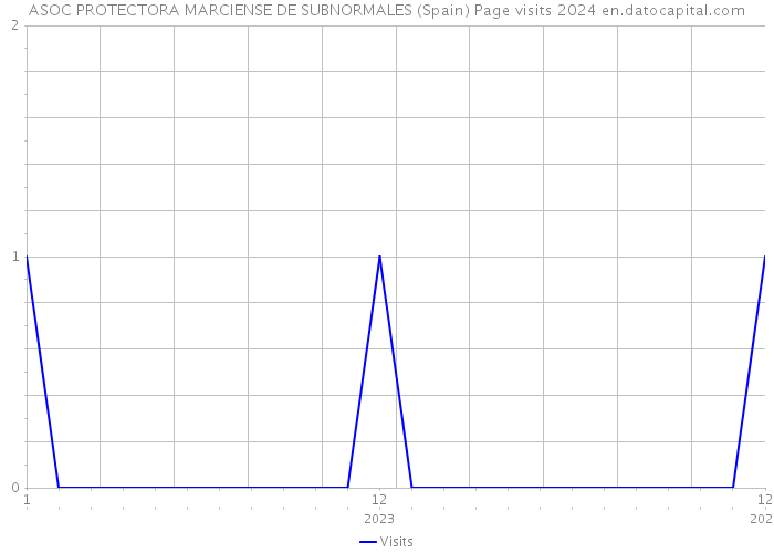 ASOC PROTECTORA MARCIENSE DE SUBNORMALES (Spain) Page visits 2024 