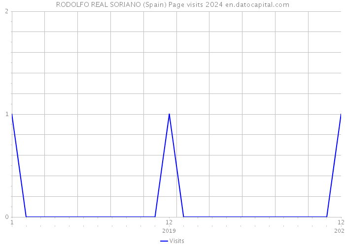RODOLFO REAL SORIANO (Spain) Page visits 2024 