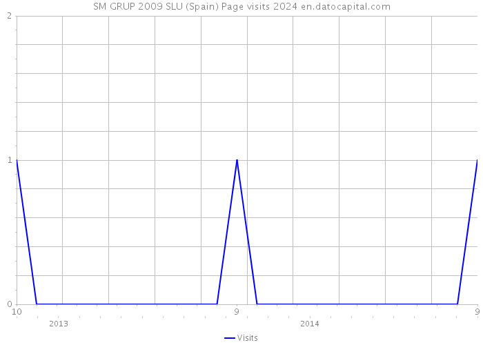 SM GRUP 2009 SLU (Spain) Page visits 2024 