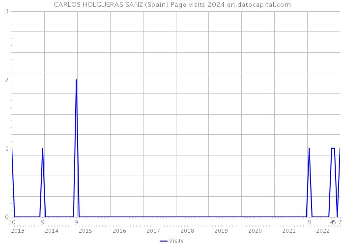 CARLOS HOLGUERAS SANZ (Spain) Page visits 2024 