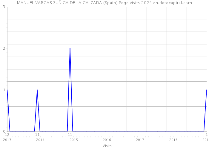 MANUEL VARGAS ZUÑIGA DE LA CALZADA (Spain) Page visits 2024 