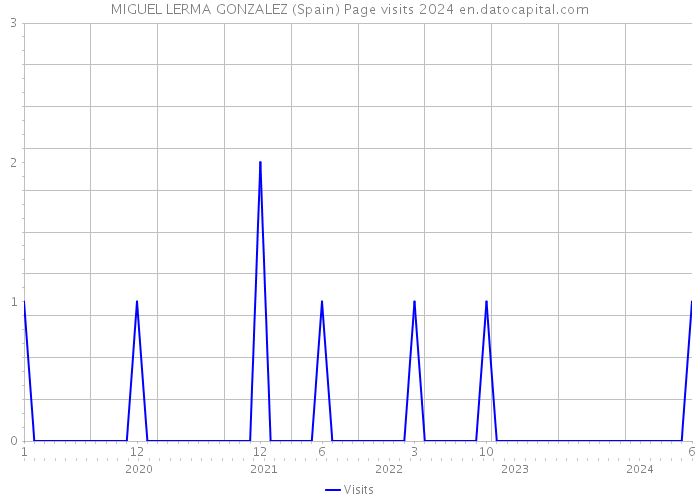 MIGUEL LERMA GONZALEZ (Spain) Page visits 2024 