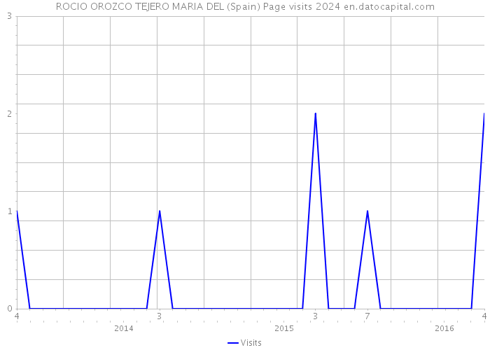 ROCIO OROZCO TEJERO MARIA DEL (Spain) Page visits 2024 