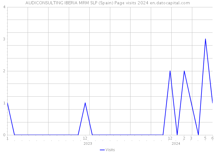 AUDICONSULTING IBERIA MRM SLP (Spain) Page visits 2024 