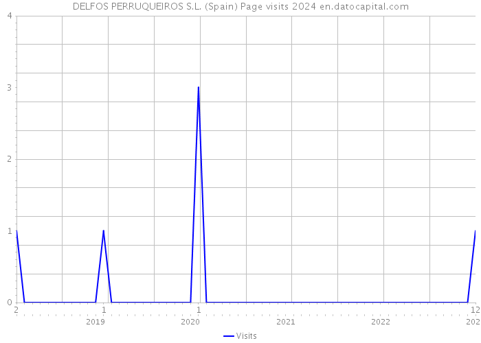 DELFOS PERRUQUEIROS S.L. (Spain) Page visits 2024 