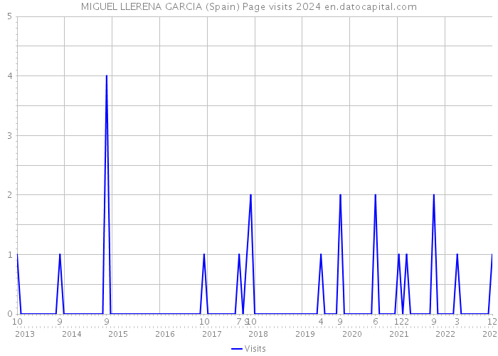 MIGUEL LLERENA GARCIA (Spain) Page visits 2024 