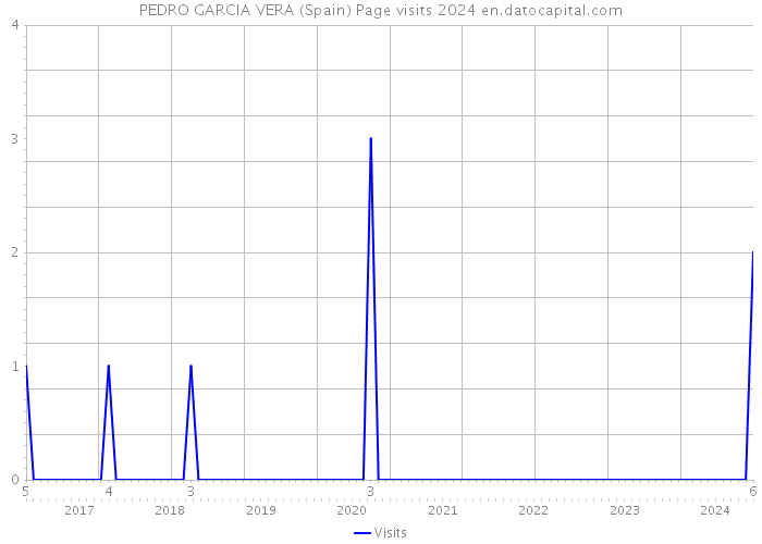 PEDRO GARCIA VERA (Spain) Page visits 2024 