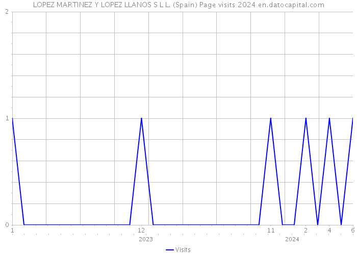 LOPEZ MARTINEZ Y LOPEZ LLANOS S L L. (Spain) Page visits 2024 